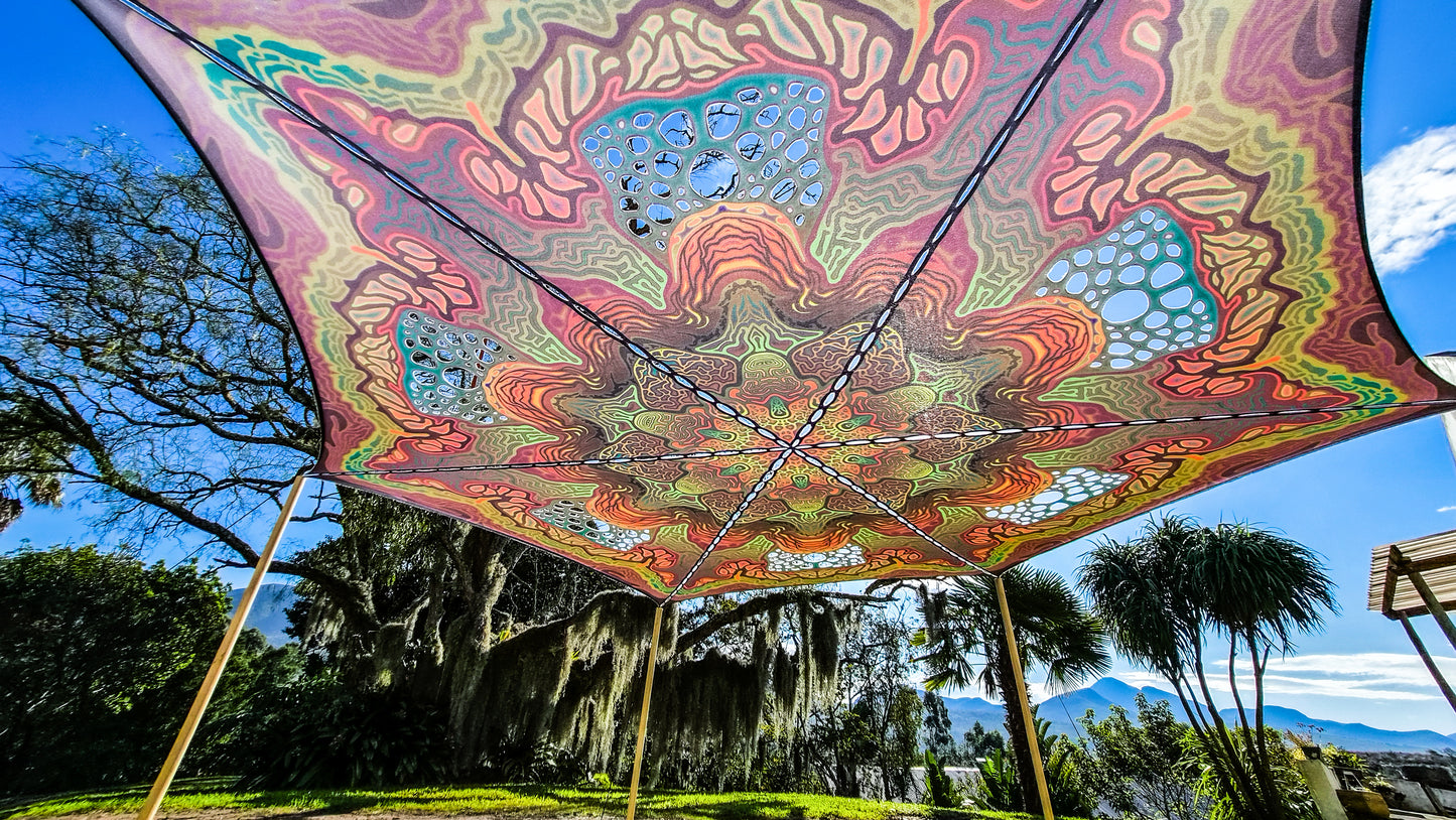 MYCELIA canopy