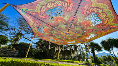 MYCELIA canopy