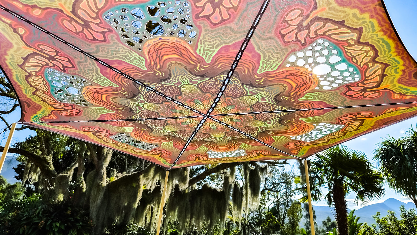 MYCELIA canopy