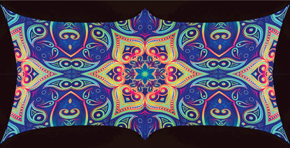 PAISLEY XL backdrop