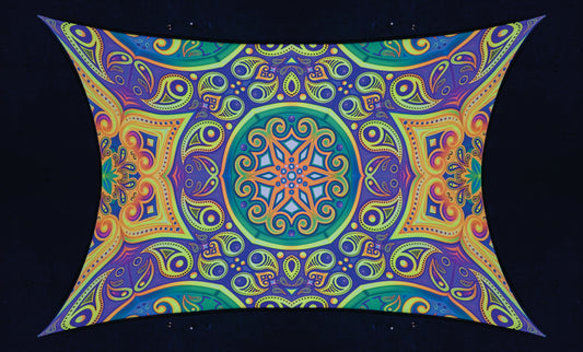 PAISLEY backdrop