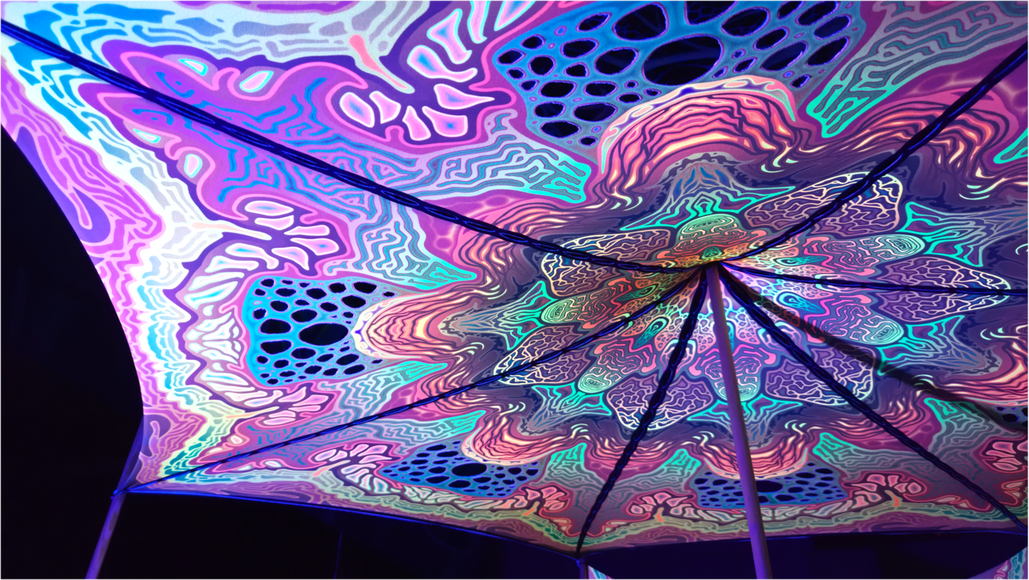 MYCELIA canopy