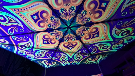 PAISLEY canopy