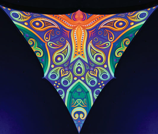 PAISLEY triangles